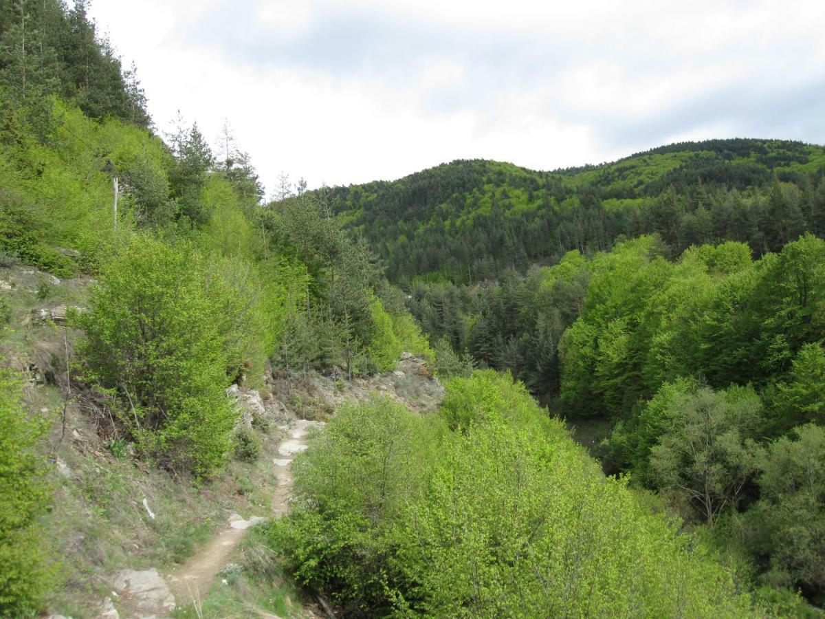 Hotel Deyanira Gorno Dryanovo 외부 사진